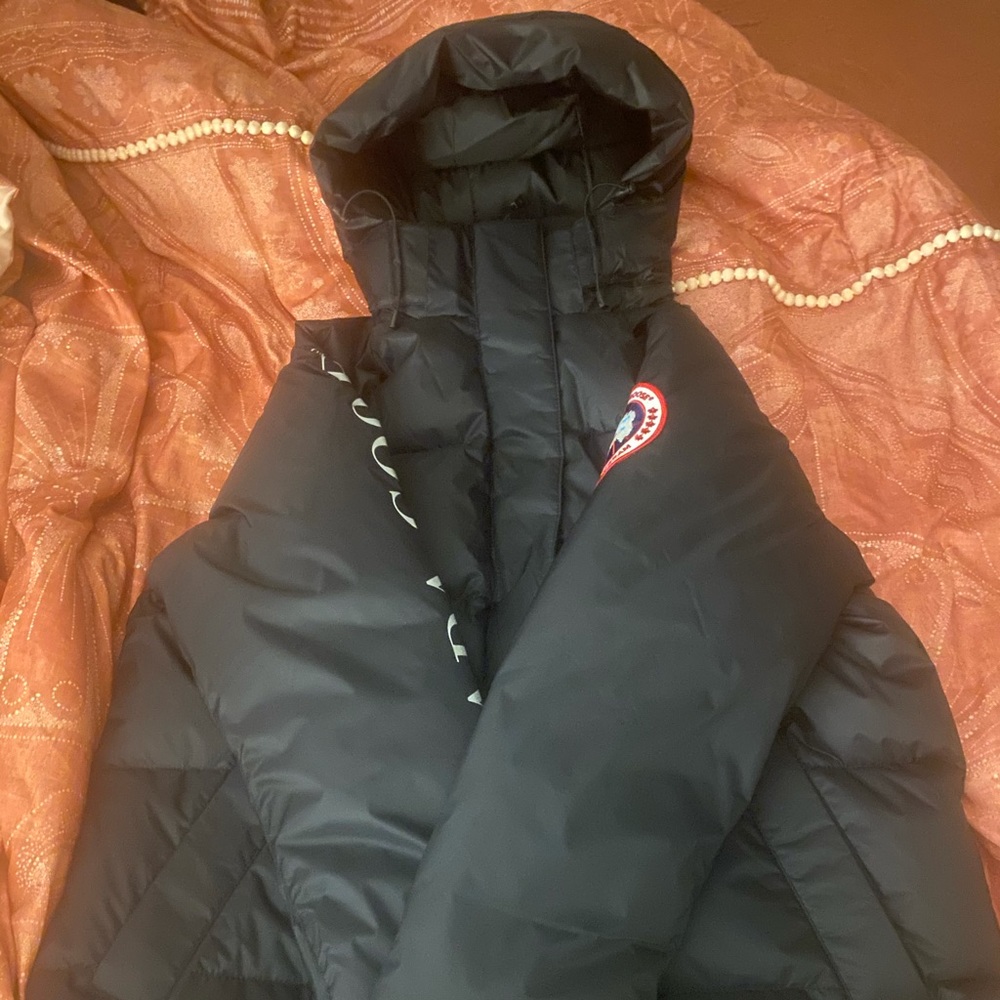 Canada goose
